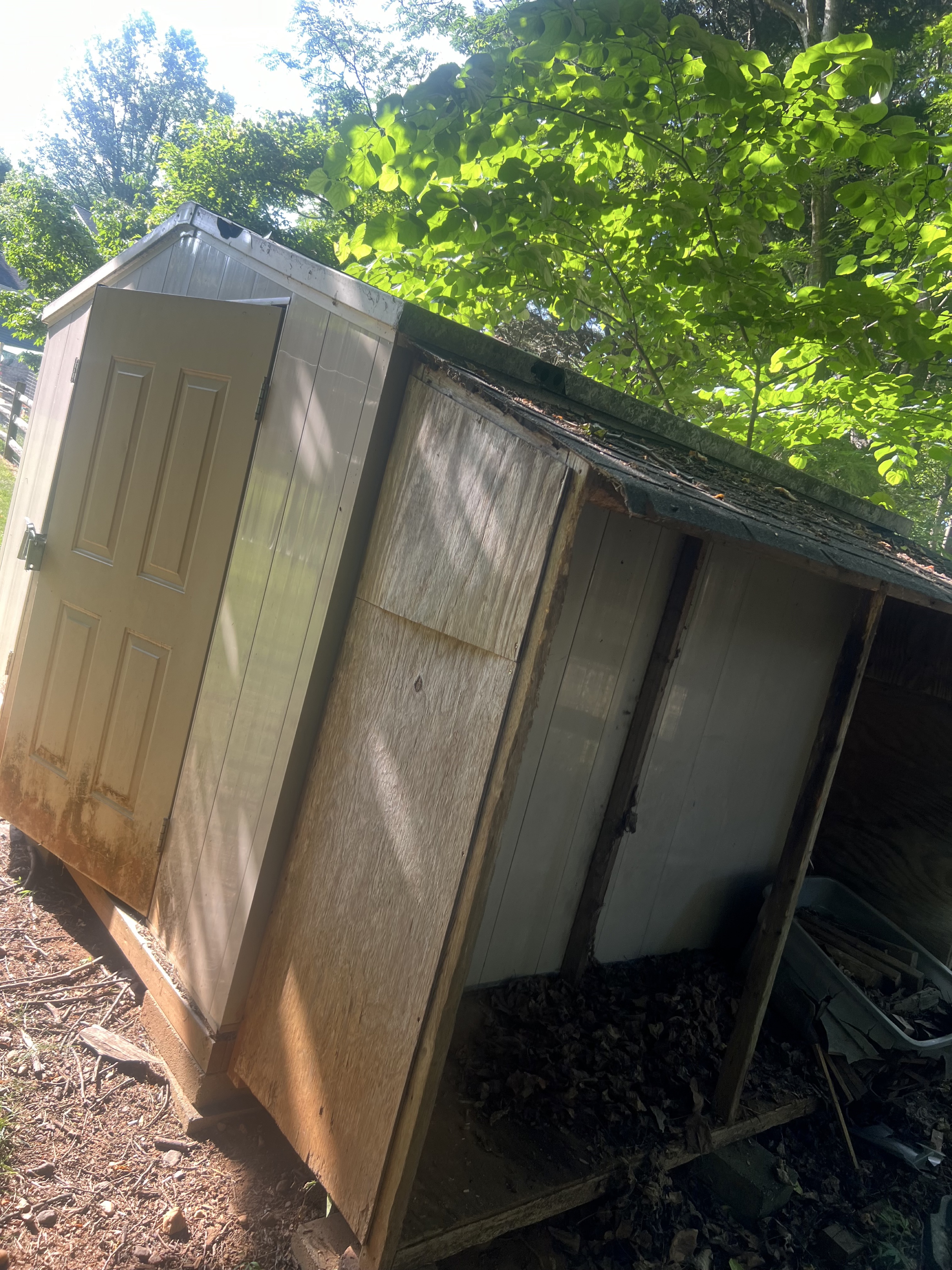 Before Shed Demolition