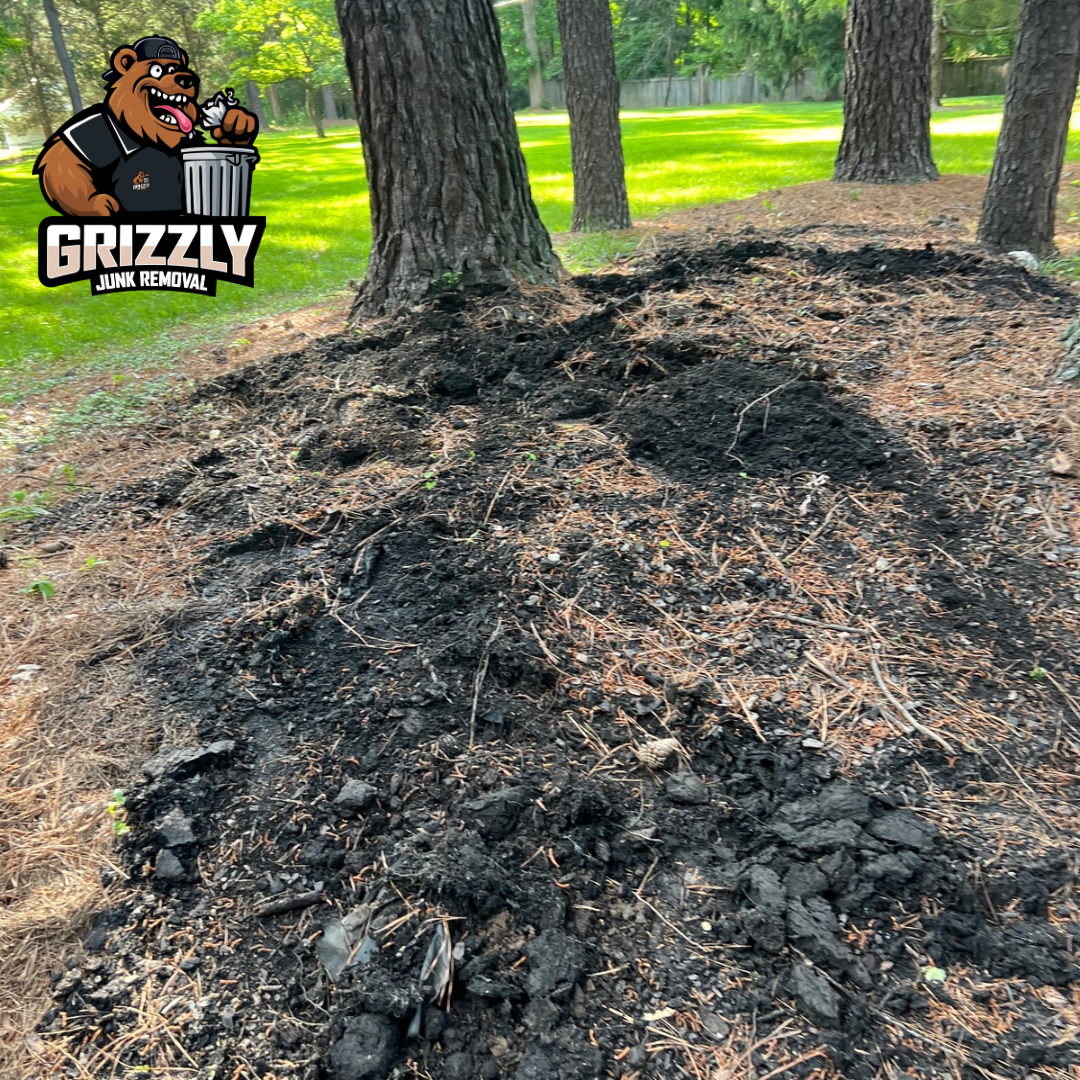 After Yard Debris Cleanup